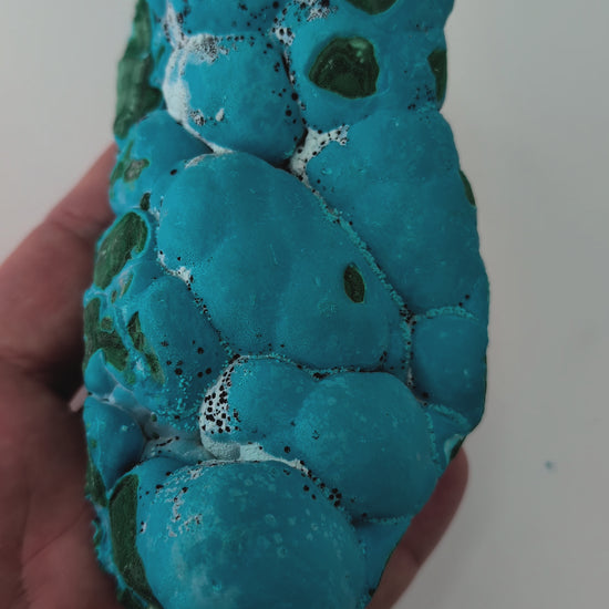 Large Congo Chrysocolla with Malachite – Botryoidal Veined Specimen (620g, 6.5")