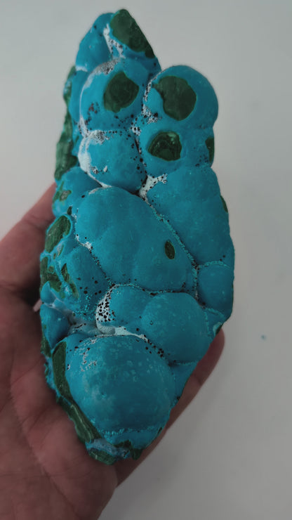 Large Congo Chrysocolla with Malachite – Botryoidal Veined Specimen (620g, 6.5")