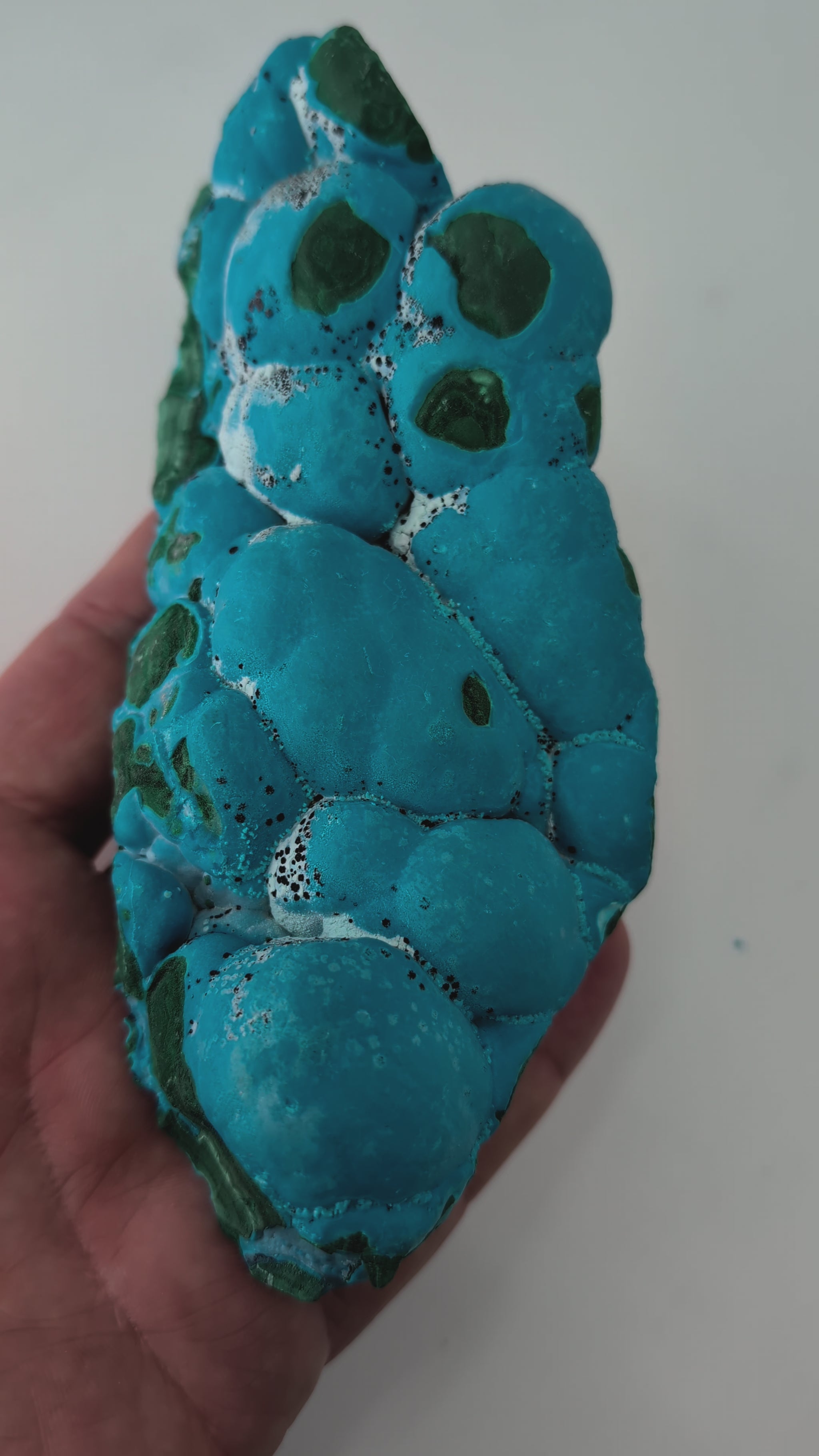 Large Congo Chrysocolla with Malachite – Botryoidal Veined Specimen (620g, 6.5")