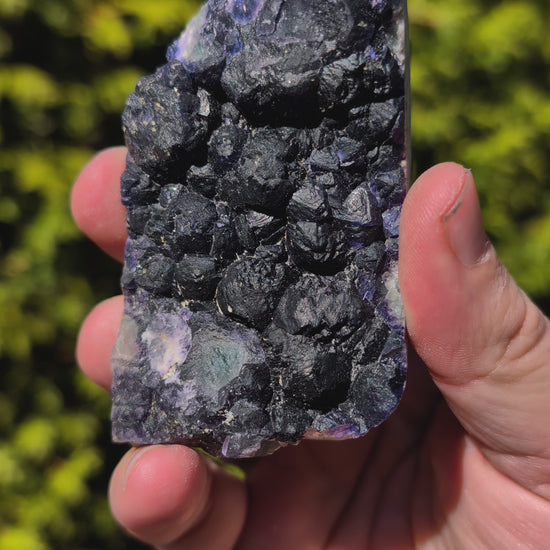 Video of Botryoidal Blueberry Fluorite with Zoning – Huanggang Mine, Inner Mongolia 3 x 2 inches 202 grams