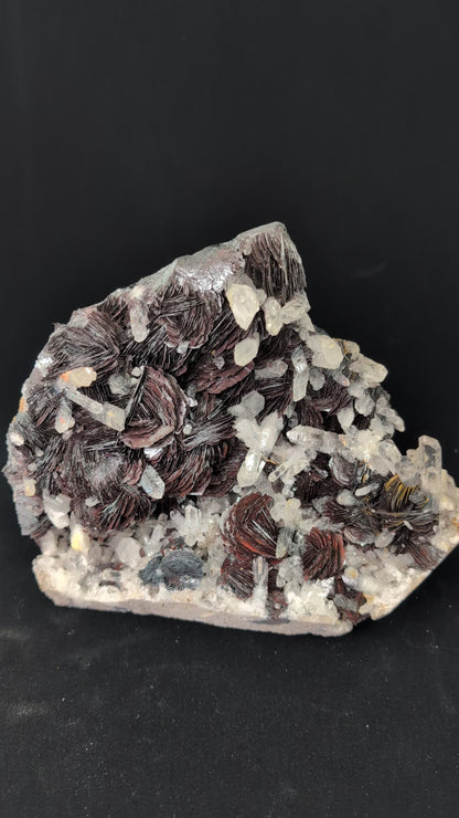 Museum-Grade Magnetic Iron Rose Hematite with Quartz – Jinlong Hill, Guangdong, China