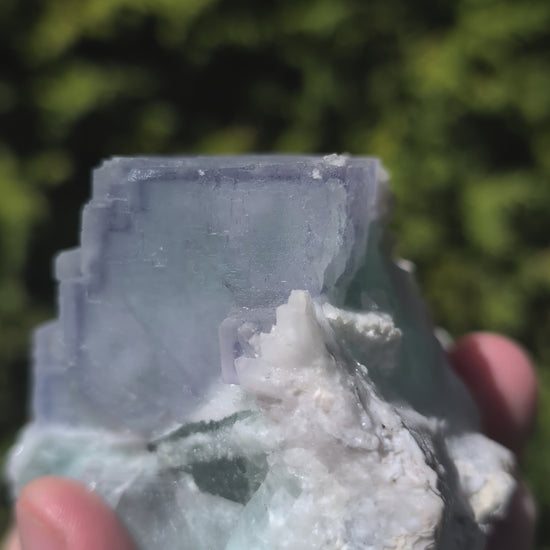 UV of Porcelain Fluorite – 4th Generation, Yaogangxian Mine, China 3-Inch Collector Specimen Video