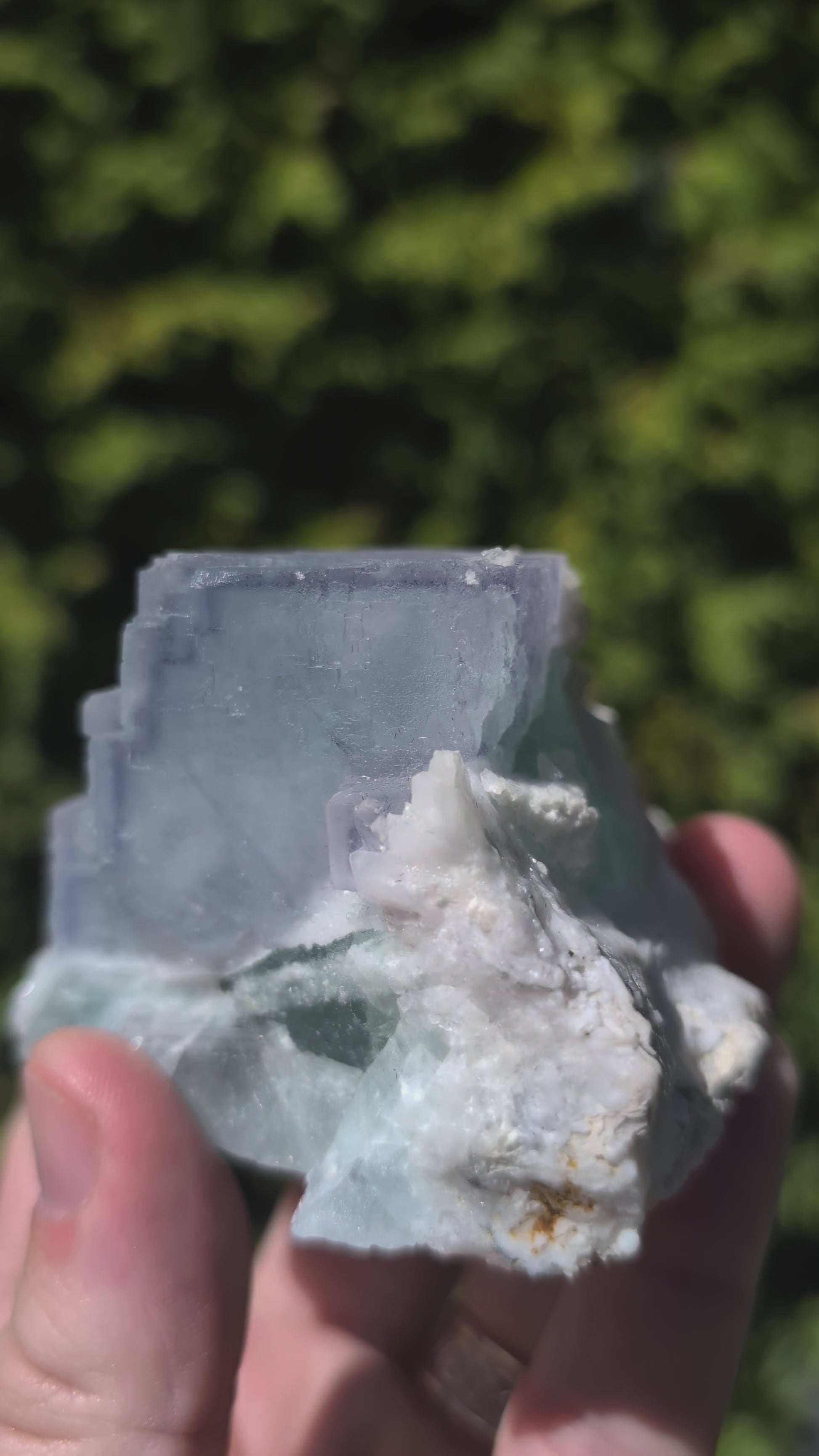 UV of Porcelain Fluorite – 4th Generation, Yaogangxian Mine, China 3-Inch Collector Specimen Video