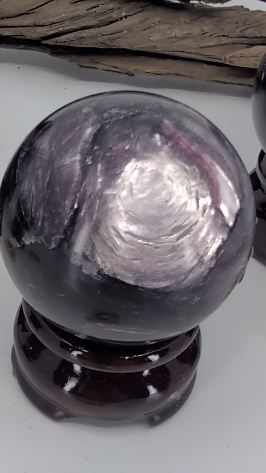 Video panning across a collection of five polished Purple Mica (Lepidolite) spheres on wooden stands. The camera moves to show the varying sizes, deep eggplant color, and the natural silvery shimmer on each unique piece.