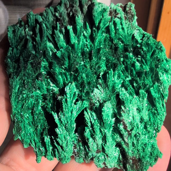 Malachite from Katanga Copper Crescent, Haut-Katanga, Democratic Republic of the Congo