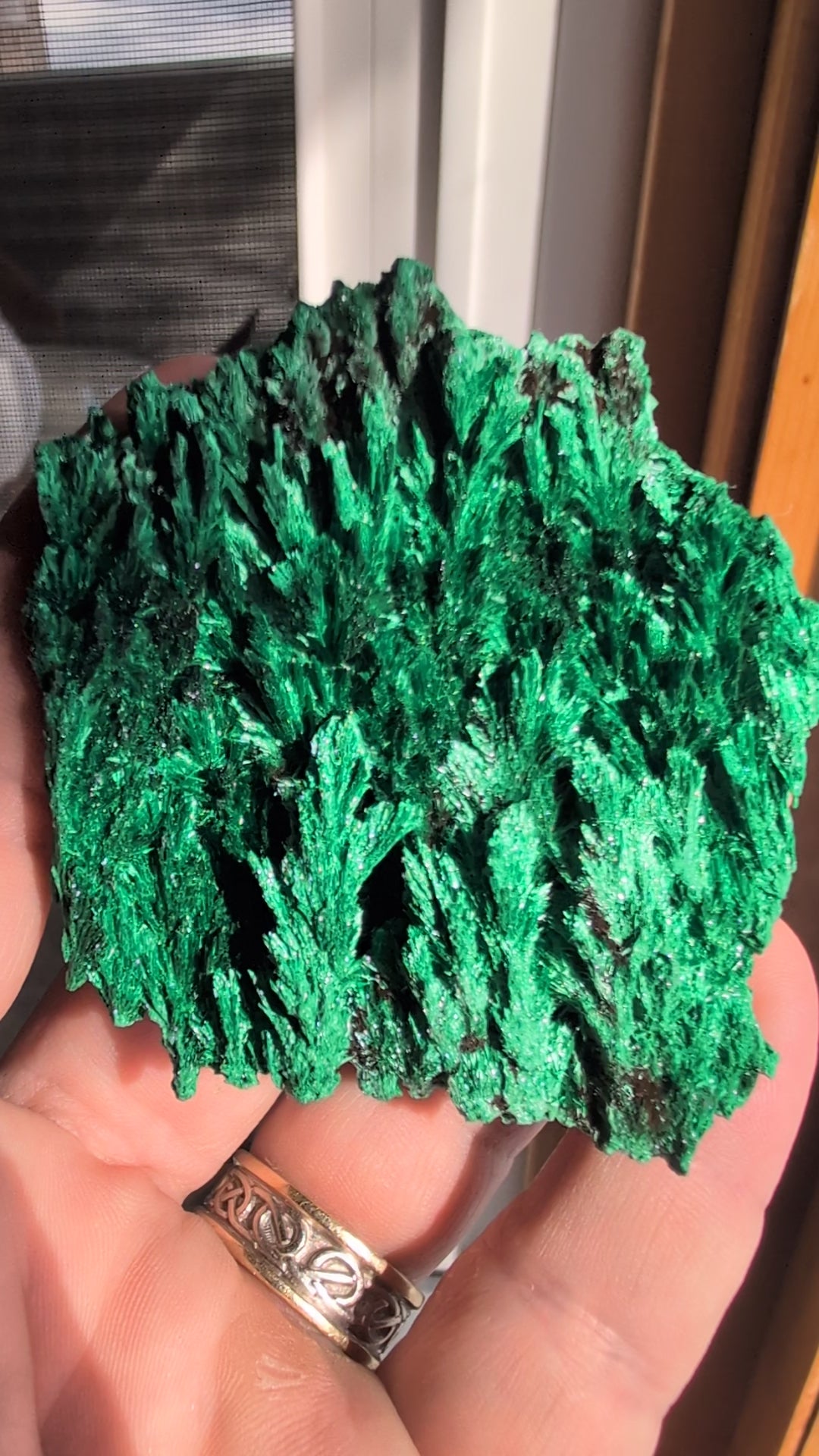 Malachite from Katanga Copper Crescent, Haut-Katanga, Democratic Republic of the Congo