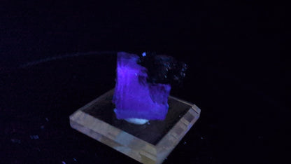 Fluorite with Pyrite - Yaogangxian Mine, China
