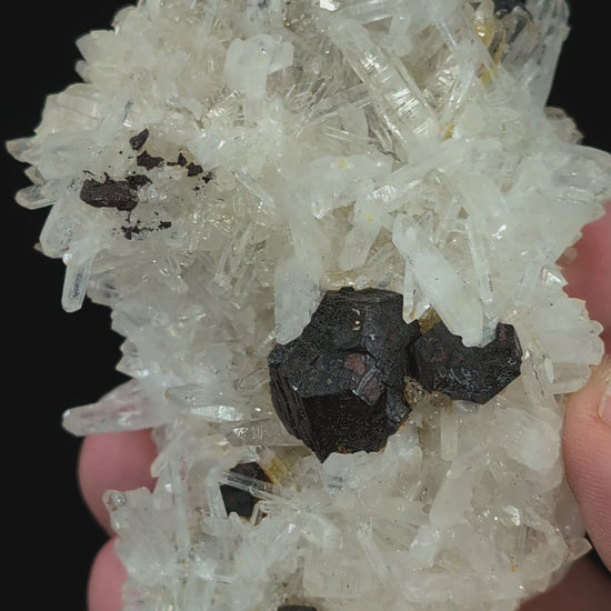 Rotating video of black pyrite and quartz specimen from Fengjiashan Mine
