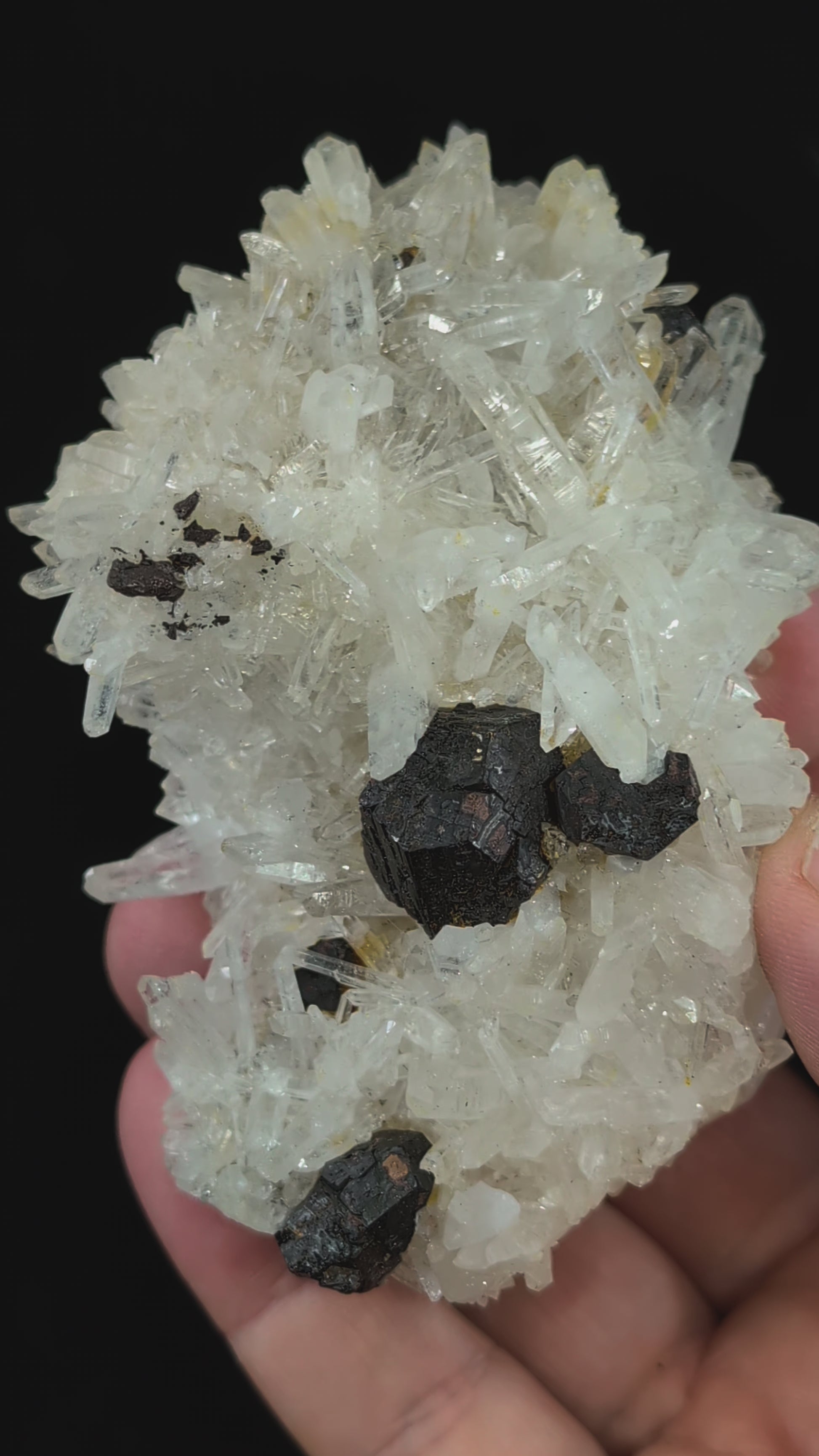 Rotating video of black pyrite and quartz specimen from Fengjiashan Mine