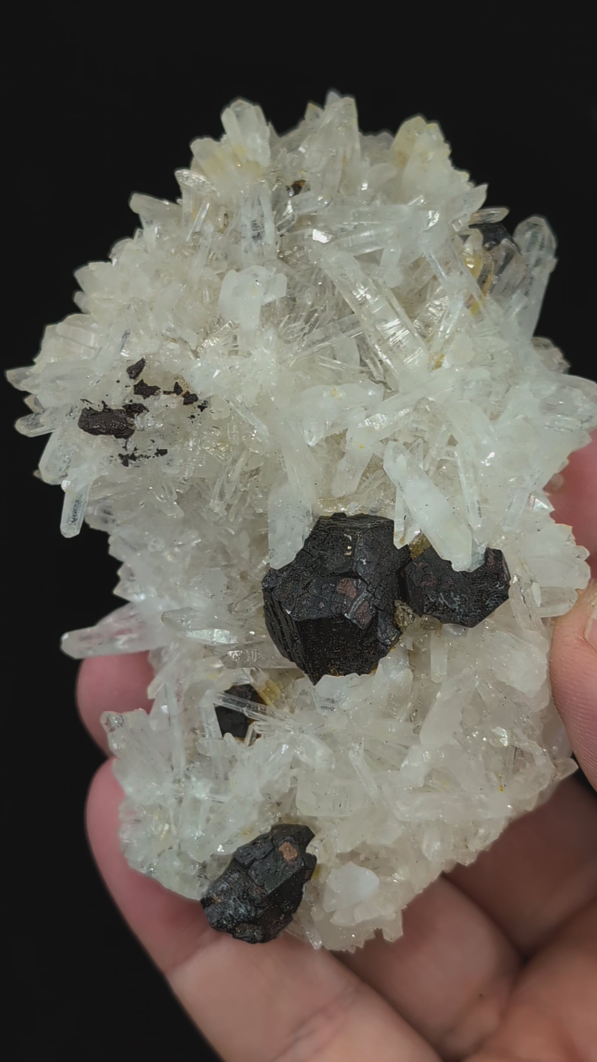 Rotating video of black pyrite and quartz specimen from Fengjiashan Mine
