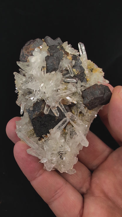 Black Pyrite