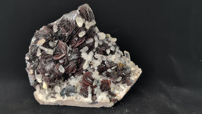 Museum-Grade Magnetic Iron Rose Hematite with Quartz – Jinlong Hill, Guangdong, China