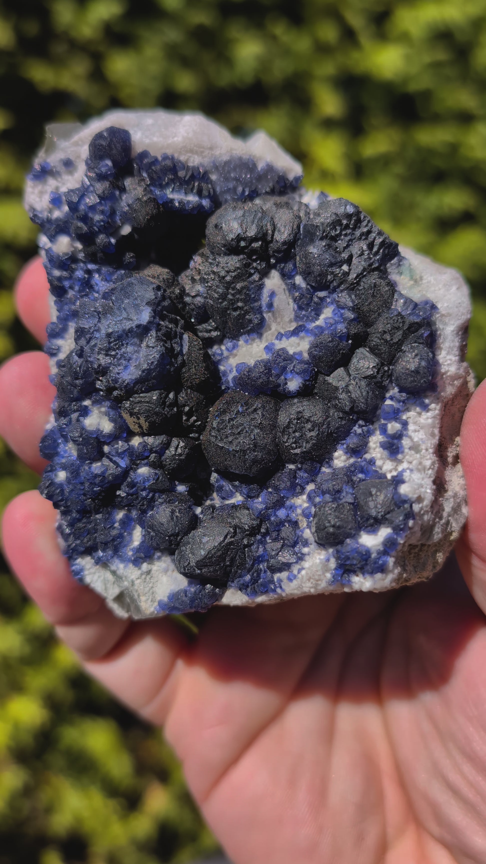 Video of Botryoidal Blueberry Fluorite with Sharp Crystal Zoning Huanggang Mine, Inner Mongolia 3.5 x 3 inches 276 grams