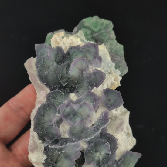 De’an Fluorite Cluster – Green and Purple UV Reactive, Jiangxi Province, China