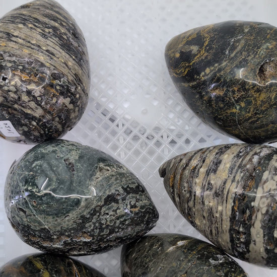 Video showing all six 1kg ocean jasper eggs with rotating views