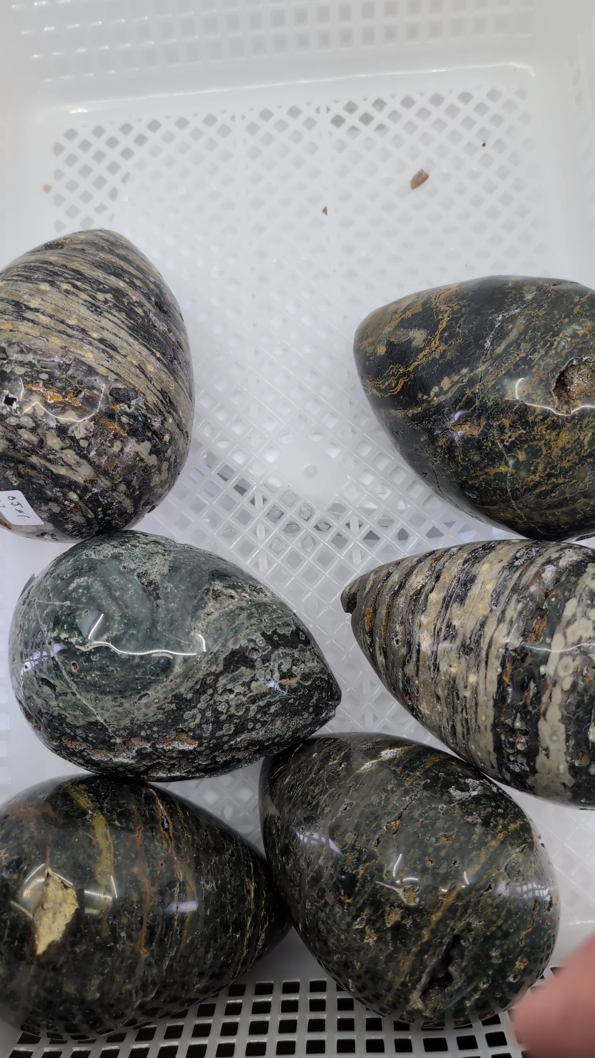 Video showing all six 1kg ocean jasper eggs with rotating views