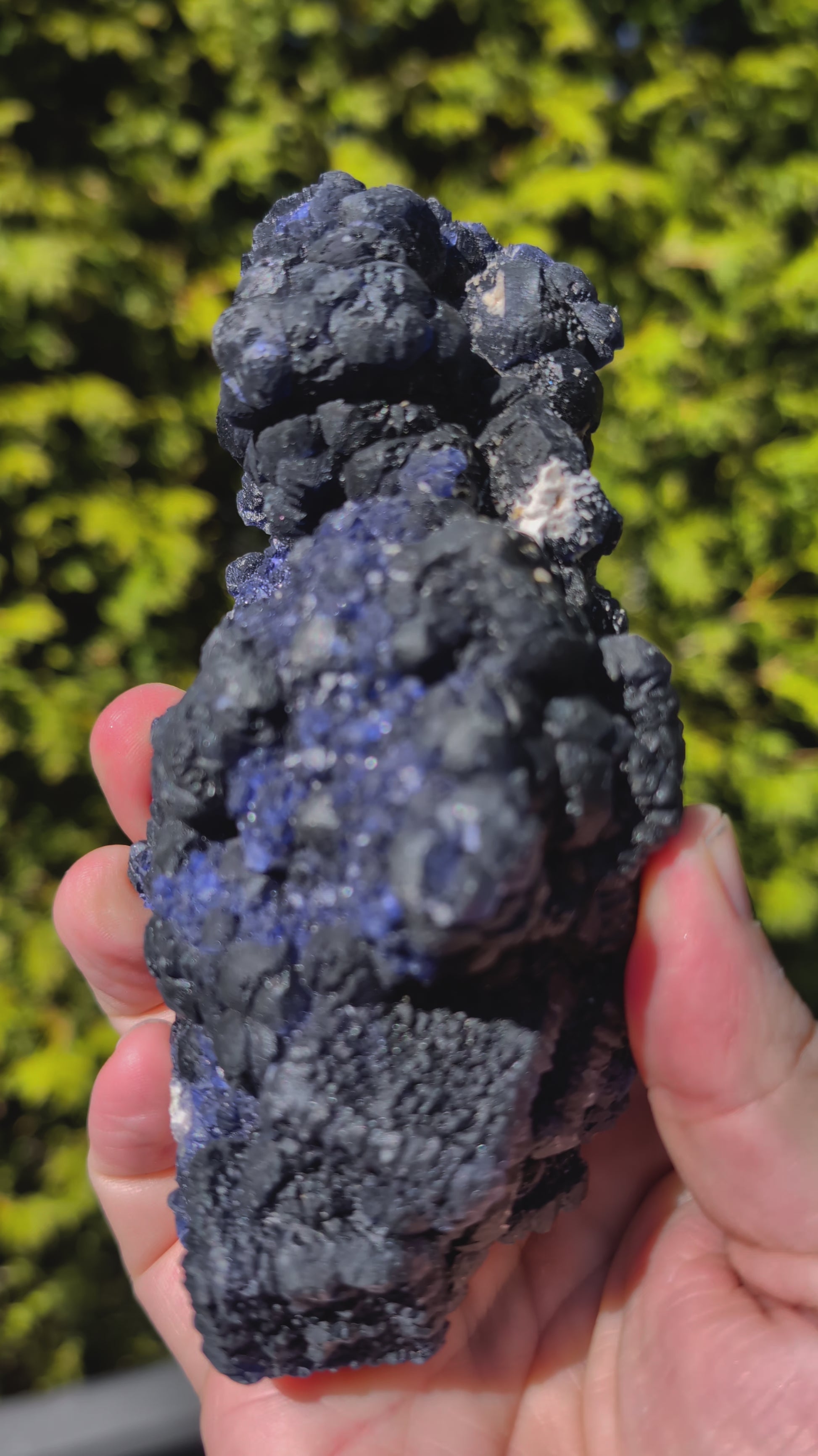 Blueberry Fluorite Botryoidal Cluster – Huanggang Mine, Inner Mongolia 6 x 3 inches | 656 grams