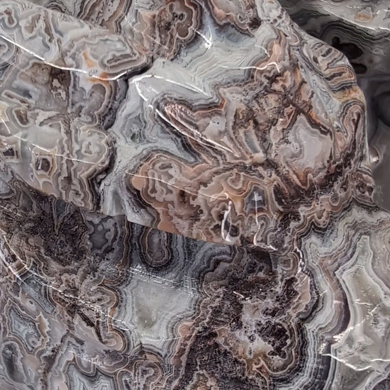 360° video of Crazy Lace Agate dragon head collection, variants A–F