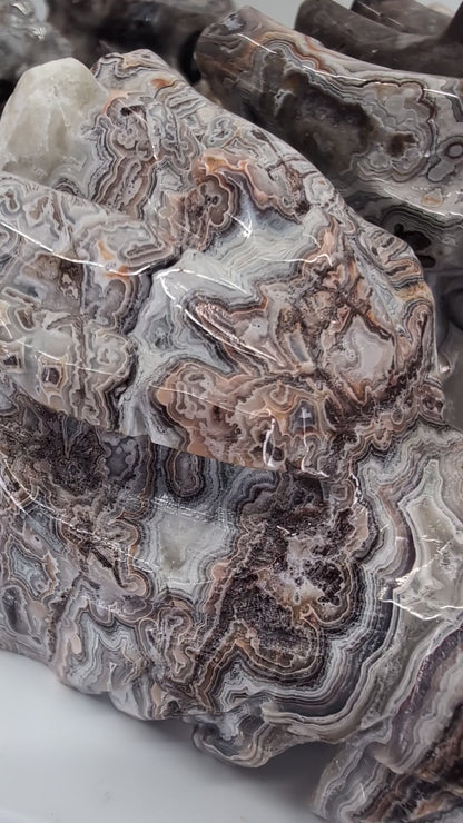 360° video of Crazy Lace Agate dragon head collection, variants A–F