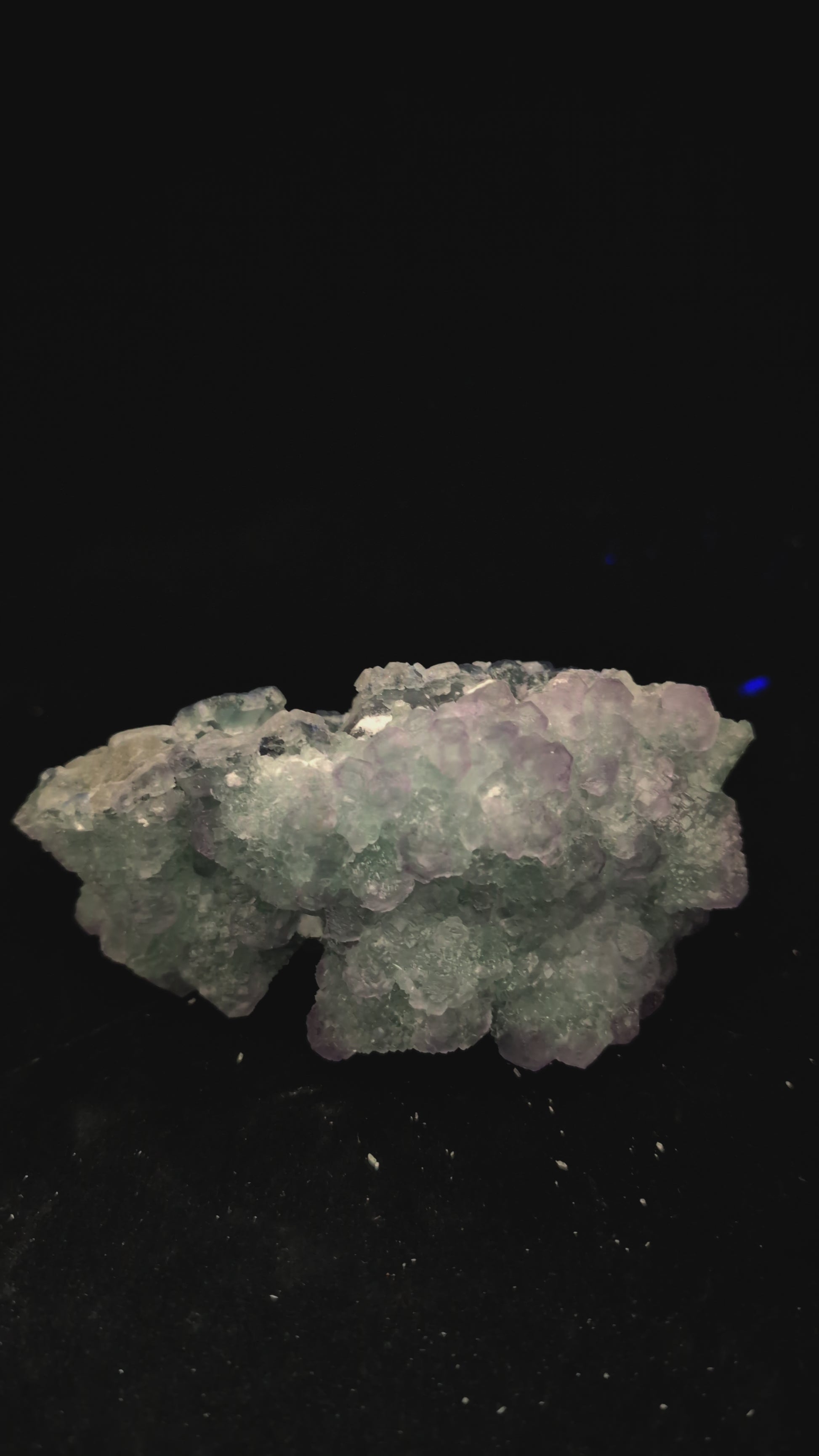 UV light test showing blue-violet fluorescence in fluorite and no fluorescence in white calcite on Zhejiang specimen