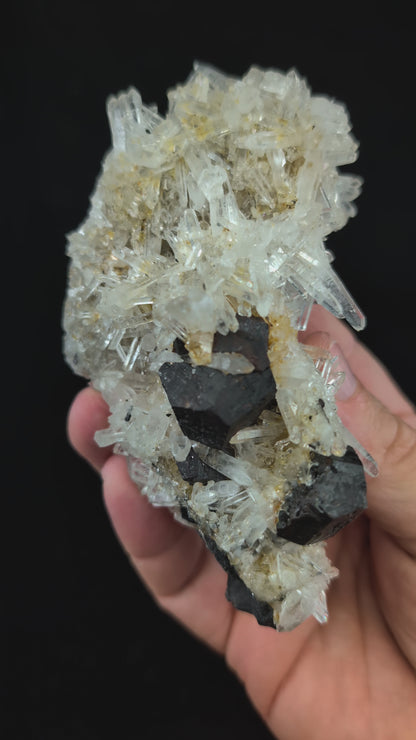 Black Pyrite and Quartz Cluster – Fengjiashan Mine, China (301g)