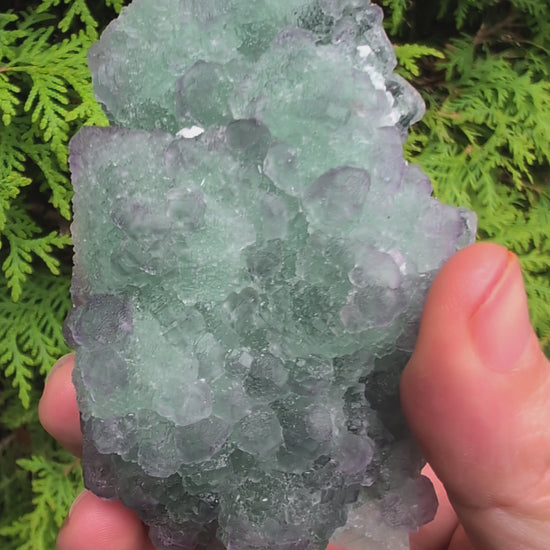 360-degree rotation video of green and purple fluorite with calcite from Zhejiang, showing crystal geometry and contrast between growth generations