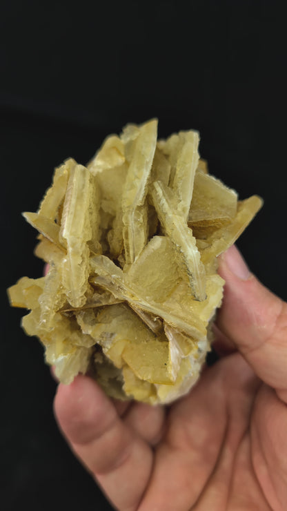 360-degree video of golden petal calcite mineral specimen