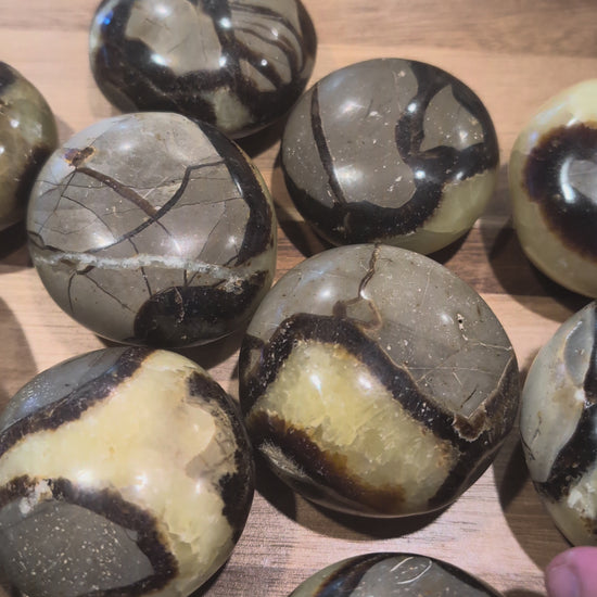 Watch a 360° view of our hand-polished Septarian palm stones from Madagascar. See the earthy calcite and aragonite patterns that make each piece unique.