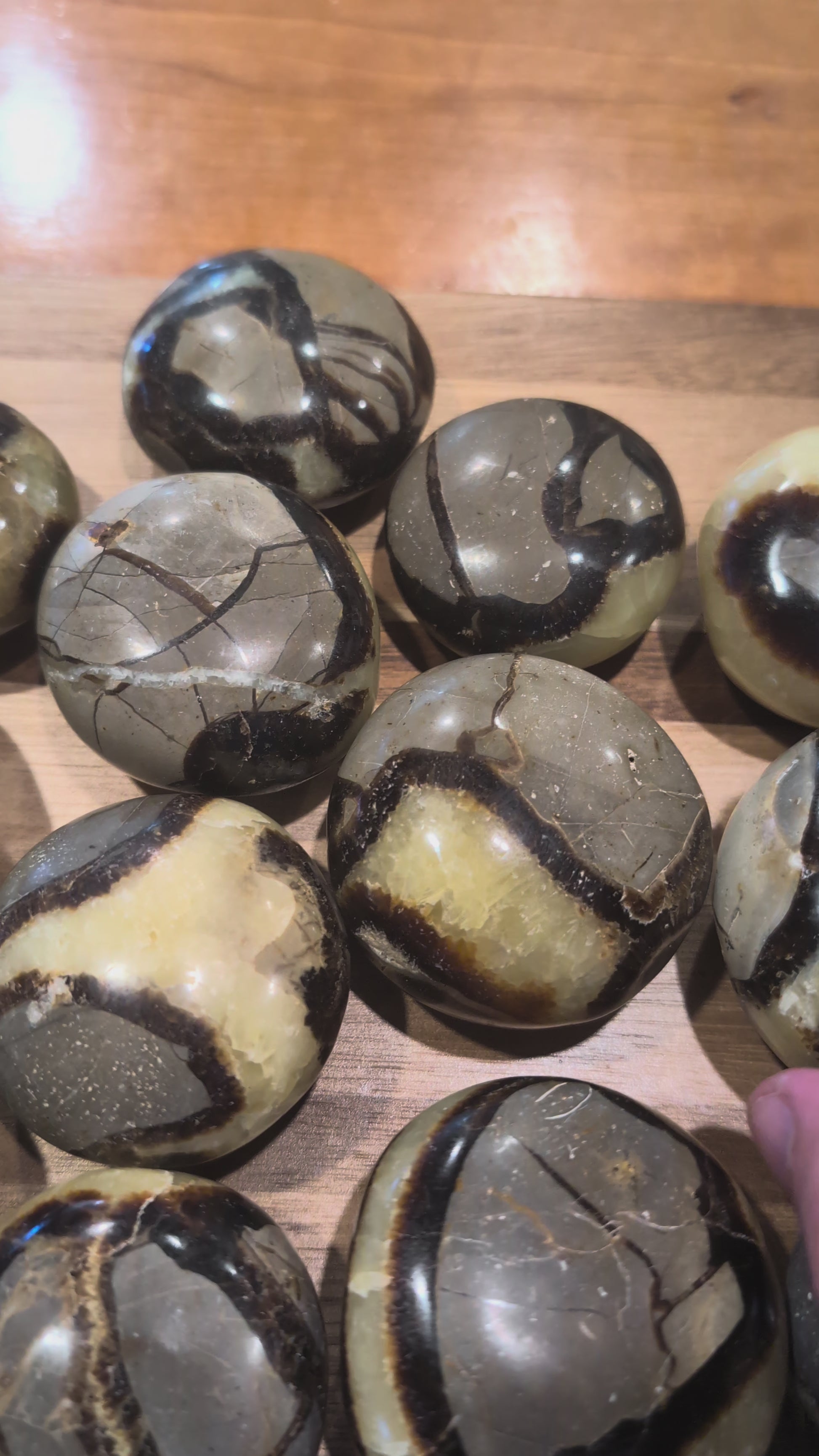 Watch a 360° view of our hand-polished Septarian palm stones from Madagascar. See the earthy calcite and aragonite patterns that make each piece unique.