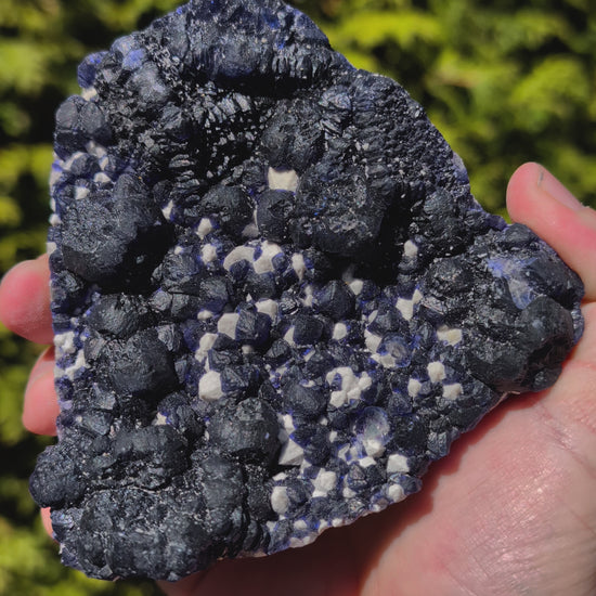 Video of Large Blueberry Fluorite with Sparkling White Matrix Huanggang Mine, Inner Mongolia 4.5 x 4.5 inches 601 grams