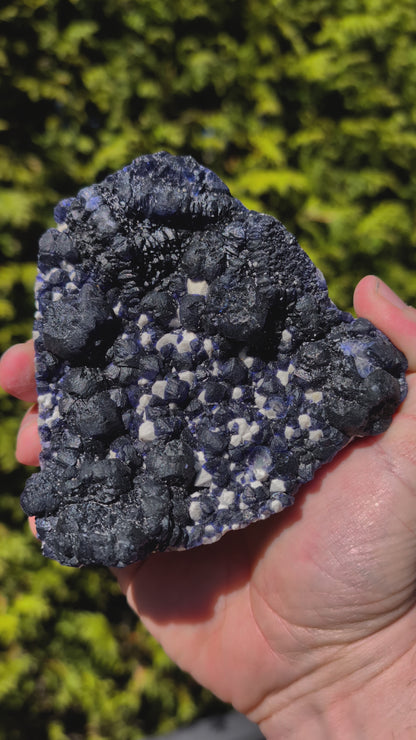 Video of Large Blueberry Fluorite with Sparkling White Matrix Huanggang Mine, Inner Mongolia 4.5 x 4.5 inches 601 grams