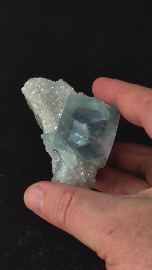 Video showing a 360° rotation and UV-reactive glow of Blue Jelly Fluorite with phantom on quartz matrix from Yaogangxian Mine, China