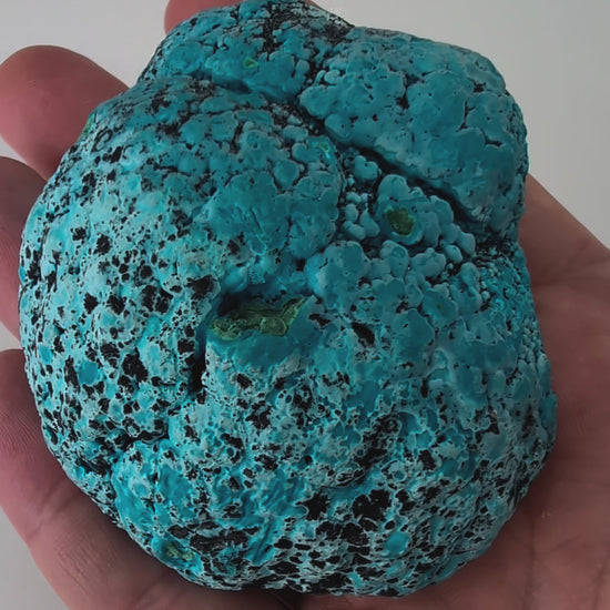 Congo Chrysocolla with Malachite – Botryoidal Specimen with Natural Base (363g)
