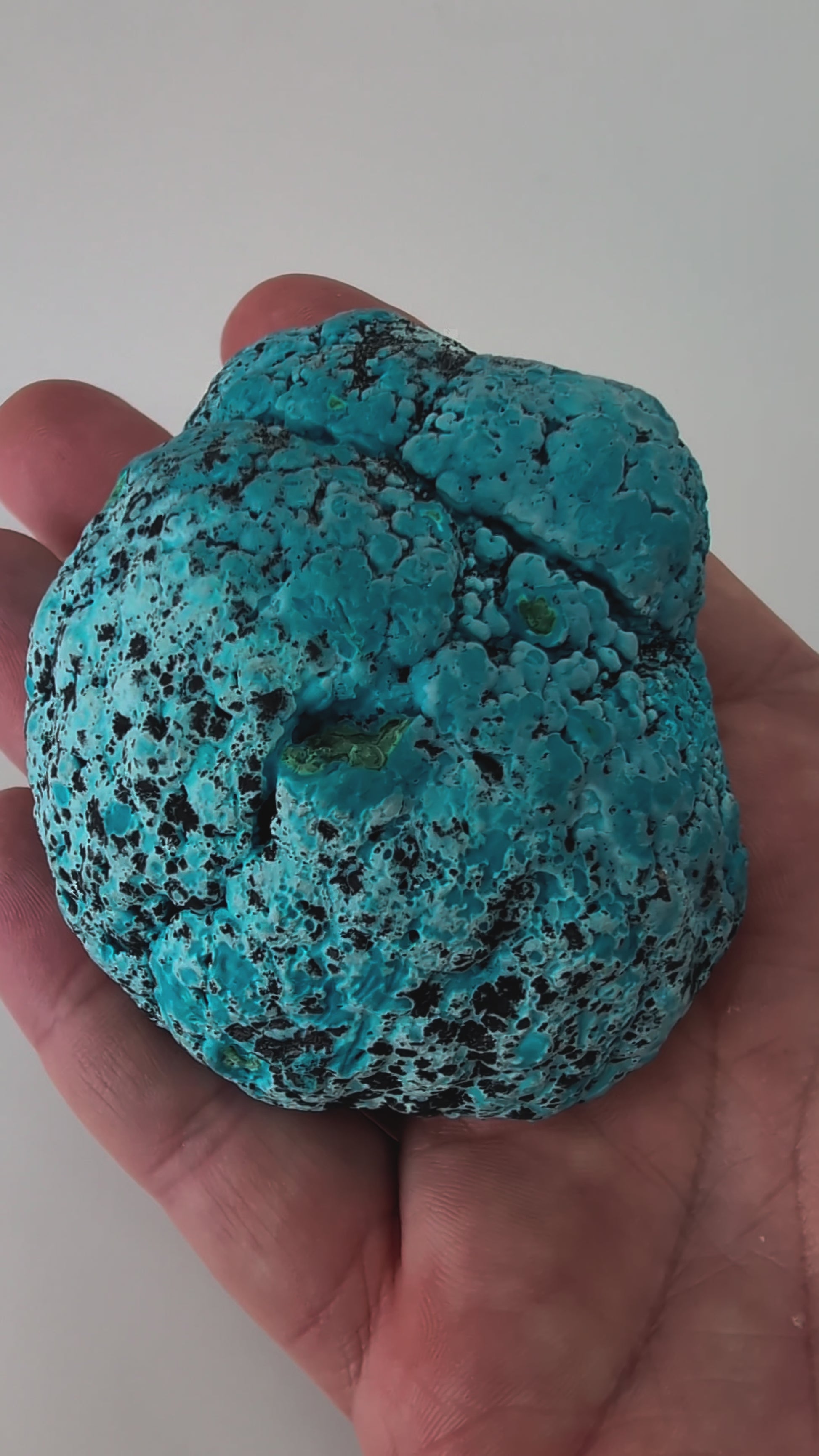 Congo Chrysocolla with Malachite – Botryoidal Specimen with Natural Base (363g)