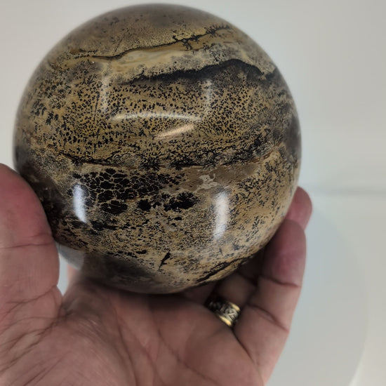 360° rotation video showing full scenic pattern of Picture Jasper sphere