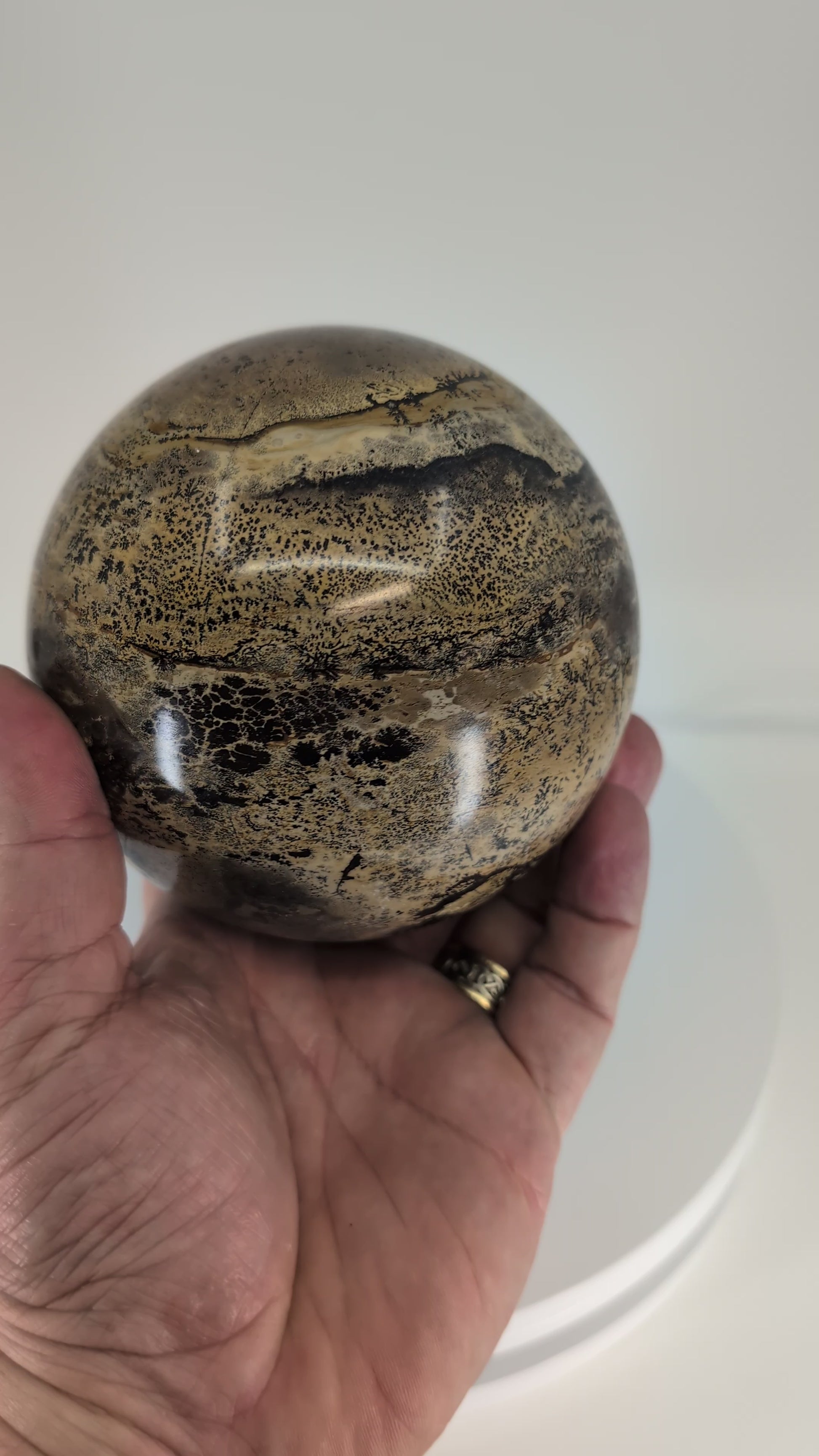 360° rotation video showing full scenic pattern of Picture Jasper sphere