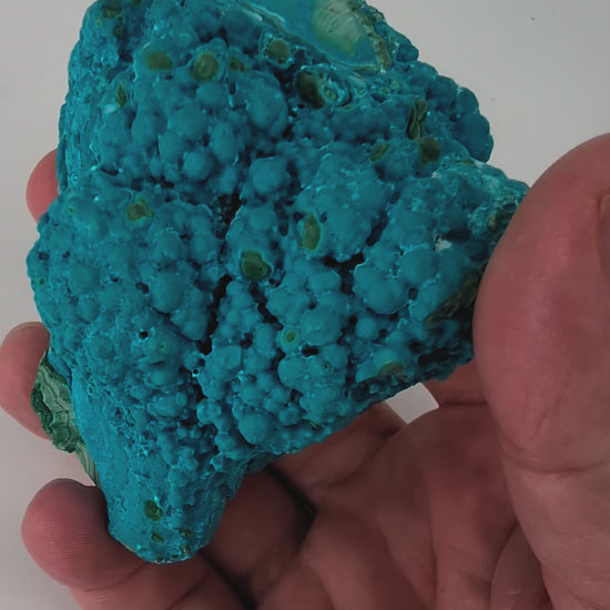 Congo Chrysocolla with Malachite – Botryoidal Specimen with Exposed Veins & Growth Rings (434g)