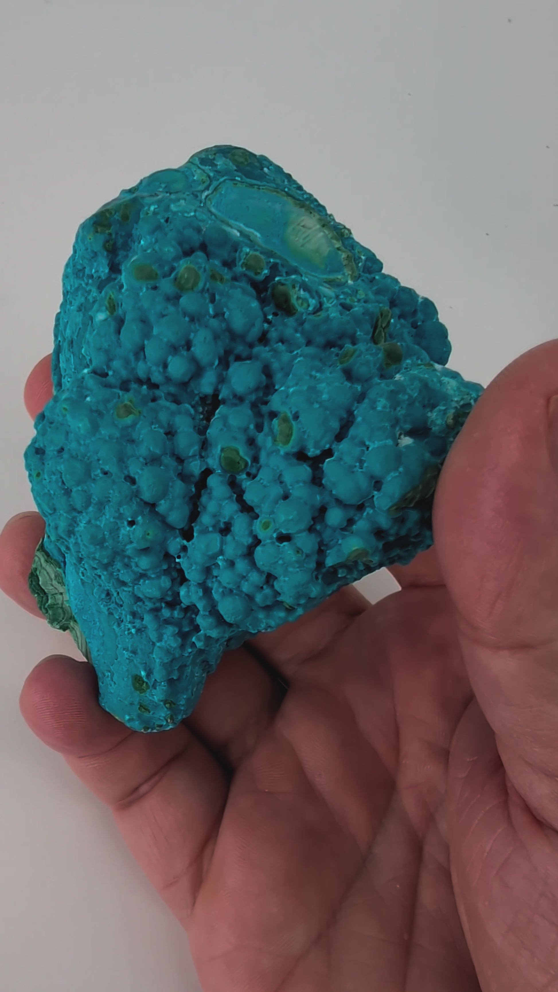 Congo Chrysocolla with Malachite – Botryoidal Specimen with Exposed Veins & Growth Rings (434g)