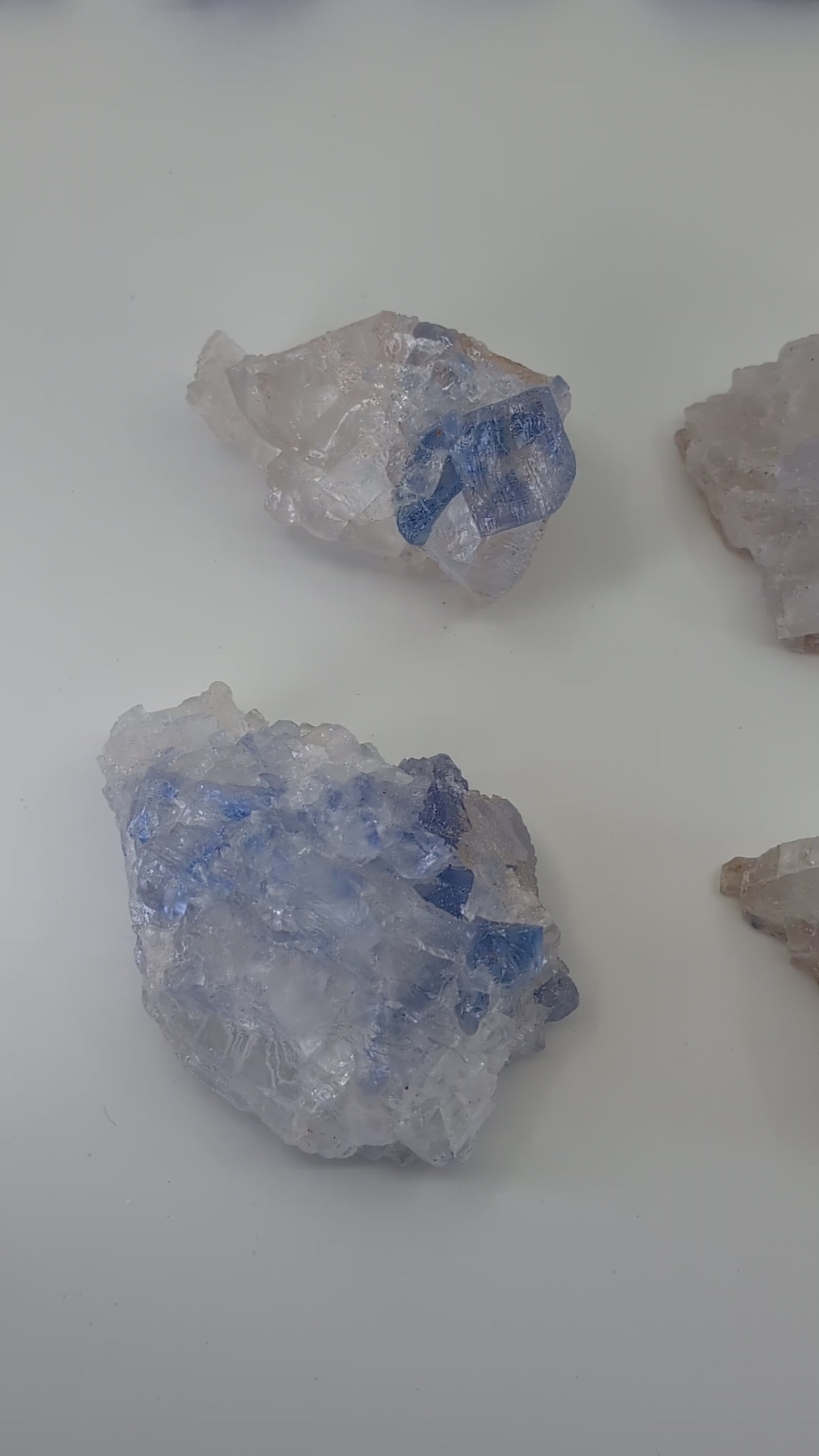 High-resolution video of Standard Grade blue halite specimens from the Saskatchewan Potash Mining District, highlighting pale-to-medium blue color, natural raw halite structure, and subtle internal zoning.