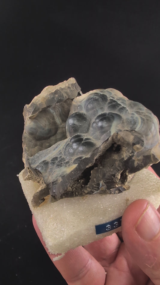 360° video of Florida agatized coral fossil specimen showing botryoidal texture and natural luster