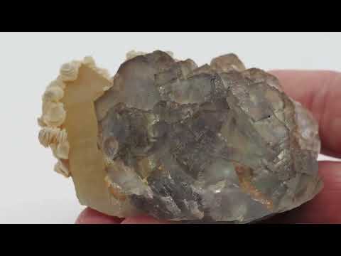 360-degree video showing luster and phantom zoning of a Yaogangxian Fluorite, Quartz, and Calcite cabinet specimen.