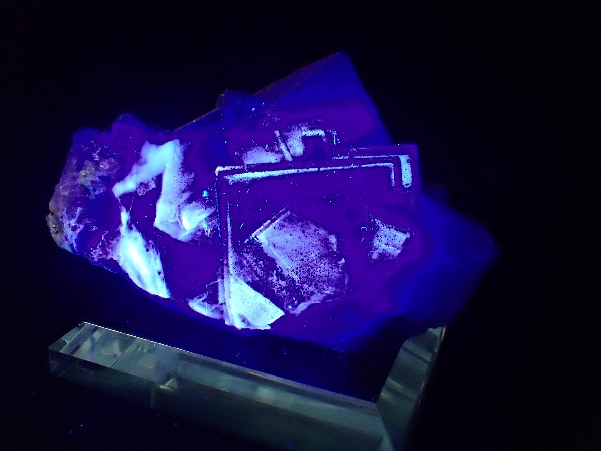 Purple Fluorite with Pyrite Dusting – YGX, China - Legacy Crystals and Minerals