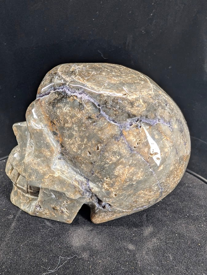 Left side view of Purple Silk Fluorite Skull displaying banding and zoning