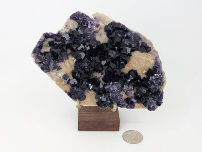 Purple Window Fluorite - Anhui, China - Legacy Crystals and Minerals
