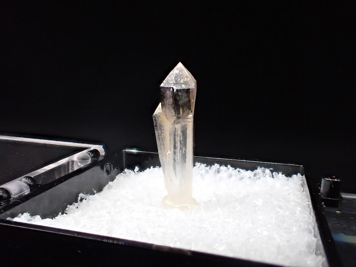 Quartz Scepter – Goboboseb Mountains, Namibia – Clear Crystal with Smoky Tip – Micro Specimen (20mm) - Legacy Crystals and Minerals