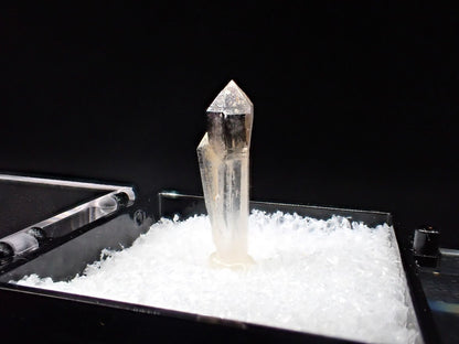 Quartz Scepter – Goboboseb Mountains, Namibia – Clear Crystal with Smoky Tip – Micro Specimen (20mm) - Legacy Crystals and Minerals