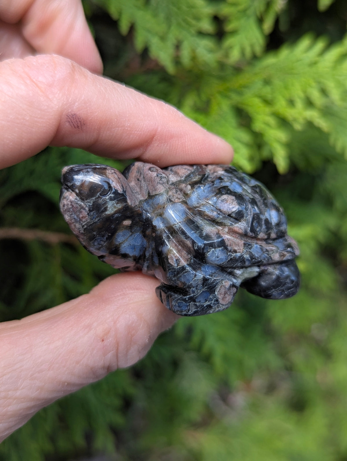 Hand holding a polished Que Sera Llanite geometric turtle carving, demonstrating its two-inch size and glossy finish.