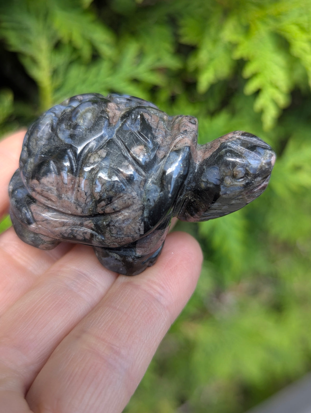 Side profile of a Que Sera Llanite turtle carving, showing a dark matrix with pink feldspar and blue quartz inclusions and geometric shell carving.