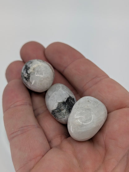 Rainbow Moonstone tumbled stones shown in hand for scale