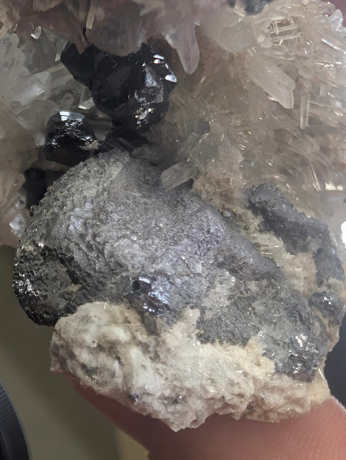 Collector's view of a rare Myanmar mineral specimen featuring black pyrite and galena